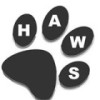 Hermanus Radiology Supports HAWS